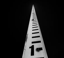 Measuring Up by Bob Larson