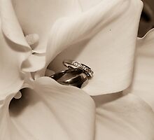 The Fine Details 3 by Kelly Connolly