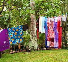 Laundry on the Line by Mia Rose