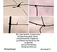 Herbedraad -druppels aan 'n heining by Rina Greeff