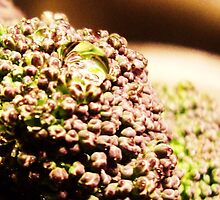 Broccoli by DearMsWildOne