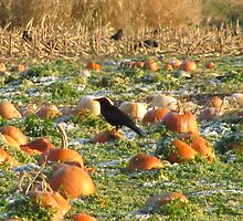 Murder in the pumpkins by wildwoosi