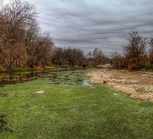The Stagnant Waters of the Nolan River by Terence Russell