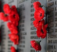 Rememberance by Tainia Finlay