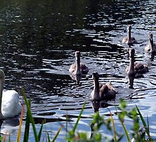 Family Affair by Loree McComb