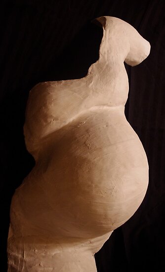 torso cast