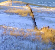 Golden Backbone by Thomas Stevens