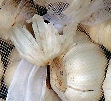 Garlic brides by patjila