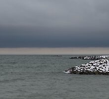 Winter Sea by Lynn Wiles