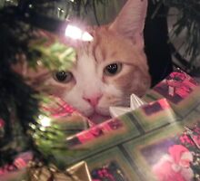 Noone Can See Me Here-Right? by Beth Mickolas