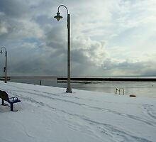 The Gloom of Winter by Lynn Gibbons