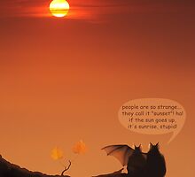 love bats admiring the sunset! by VallaV