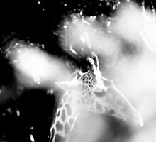 Giraffe in the Cloud by Marianna Tankelevich