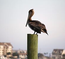 King of the World by Paulette1021