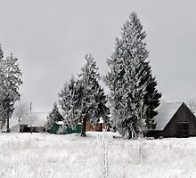 Lonely homestead in frost at 2011/01/28 winter by Antanas