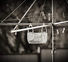 Washing Line Portrait by sallydexter