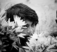 Buy My Lillies by induruwana