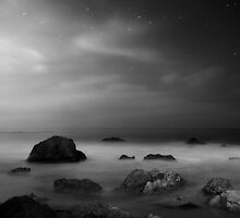 El Matador Boneyard by oastudios