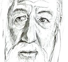 Gandalf - Ian McKellen by Sally O'Dell