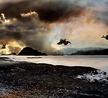 Alone to Hy Brassil. by Kenart