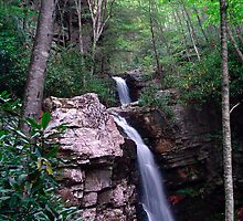 Gentry Creek Falls by Annlynn Ward