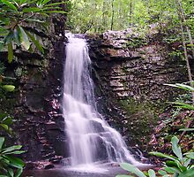 Gentry Creek (Upper Falls) by Annlynn Ward