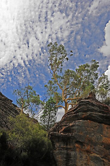 Kandos Nsw