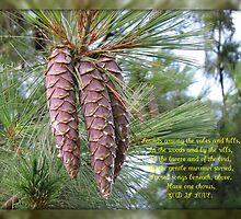God is Love, Verse 2 by BlueMoonRose