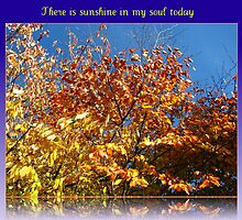 There is sunshine in my soul today by BlueMoonRose