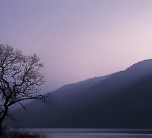 Purple Hours by Philippe Sainte-Laudy