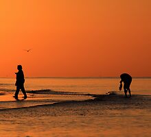 The Sanibel Stoop by kathy s gillentine