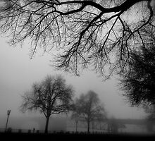 World Outside by Jeff Clark
