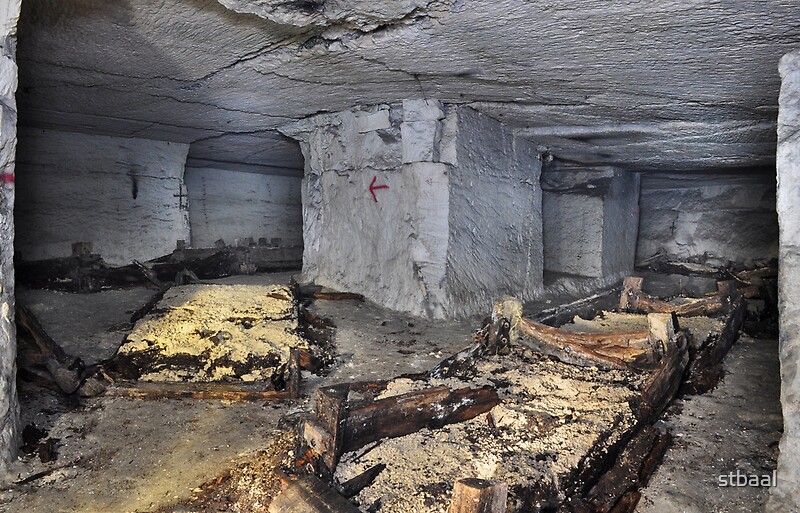 "Mushroom Growing underground" by stbaal Redbubble