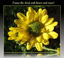 Praise the Lord with heart and voice! Psalm 117 by BlueMoonRose