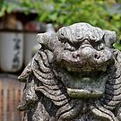 A japanese lion - Kyoto by hawkea
