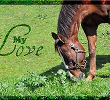Wesley, My Love - What will I do without you by Myillusions