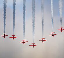 Light on the Wings by Cliff Williams