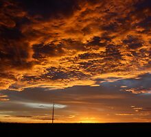 The Warning * Ilfracombe, Queensland by Deon Mackay