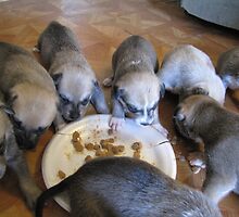 first time eating by gabbielizzie