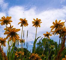I Want to Soak Up Some Sun by Michele Simon
