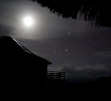 Night sky at jungle's edge by Phil Hatcher