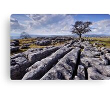 The Yorkshire Dales - Limestone Country Canvas Print