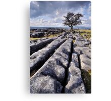 The Yorkshire Dales - Limestone Country Canvas Print