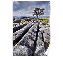 The Yorkshire Dales - Limestone Country Poster