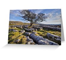 Above Langcliffe - The Yorkshire Dales Greeting Card