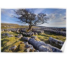 Above Langcliffe - The Yorkshire Dales Poster