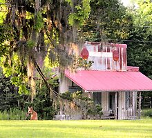 Wagner's Grocery by Jamie Armbruster