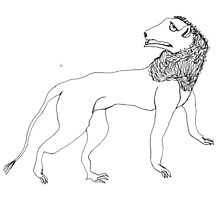 lion by dthaase