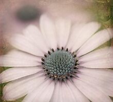 Plum Partner by Beth Mason