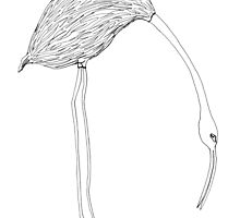 crane by dthaase